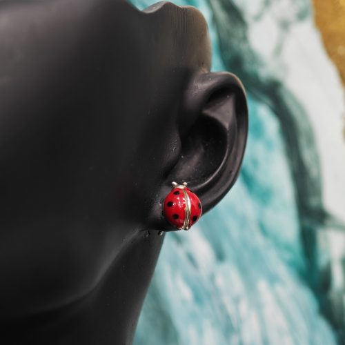 ORECCHINI ARGENTO RA13304R-2470