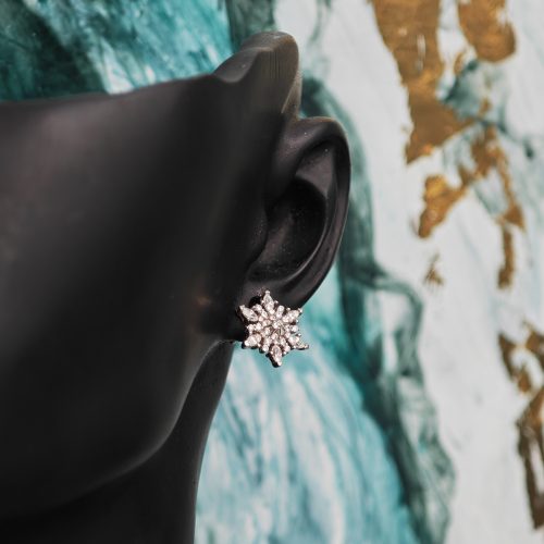 ORECCHINI ARGENTO RA16033-2465